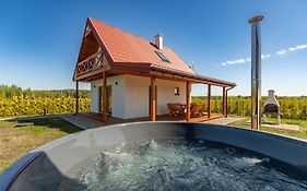 Wichrowe Wzgórze Chill House Jabłonowo